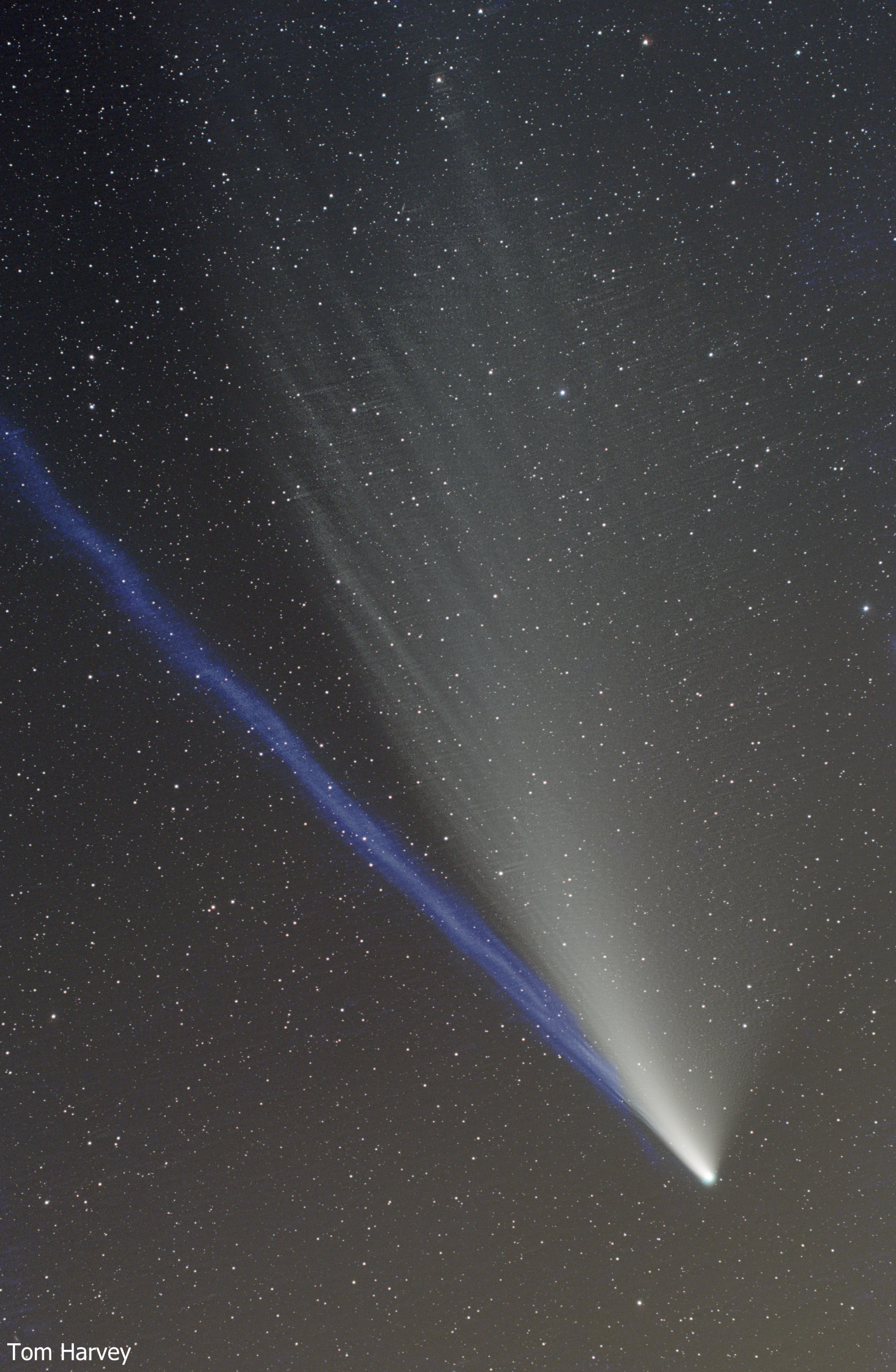 comet neowise